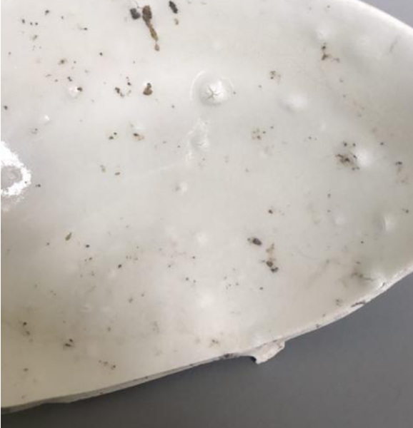定瓷標本上出現(xiàn)的氣泡